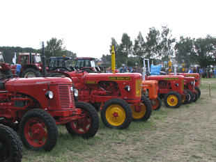 Nordhorn David Brown